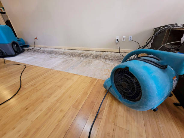 Professional Flood Damage Cleanup technician working in Sun Valley, AZ